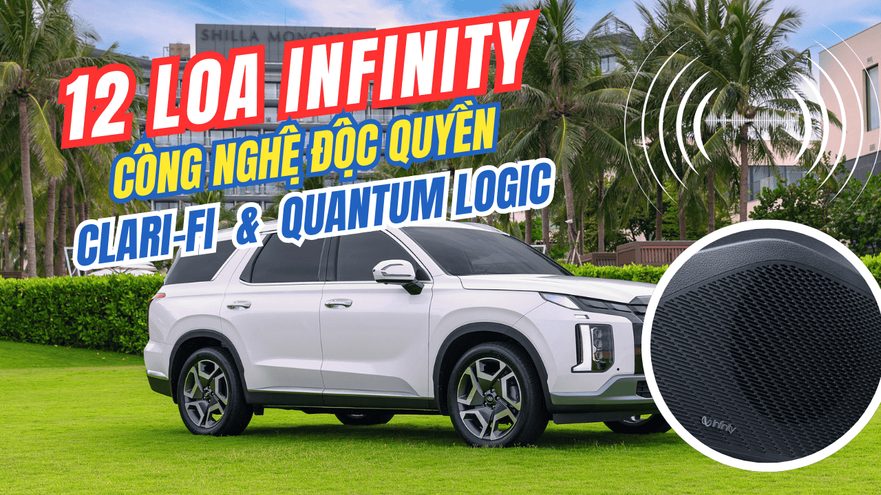 12 loa infinity tren palisade