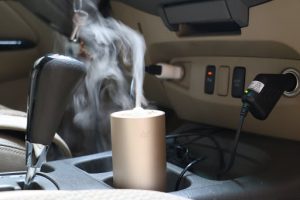 khử mùi ẩm móc trong xe ô tô