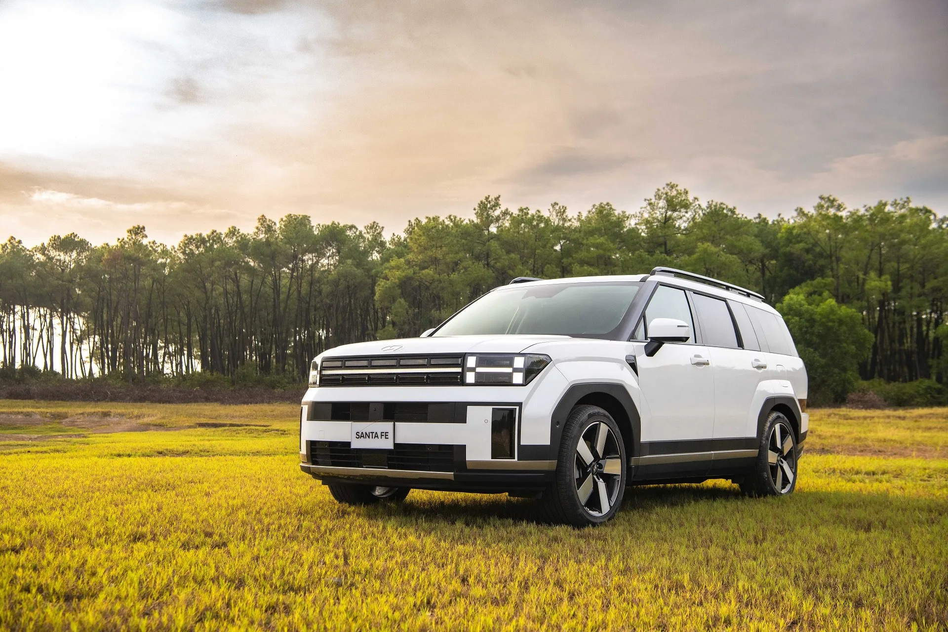 Hyundai SantaFe 32 Hyundai Santafe White Rung 29 1