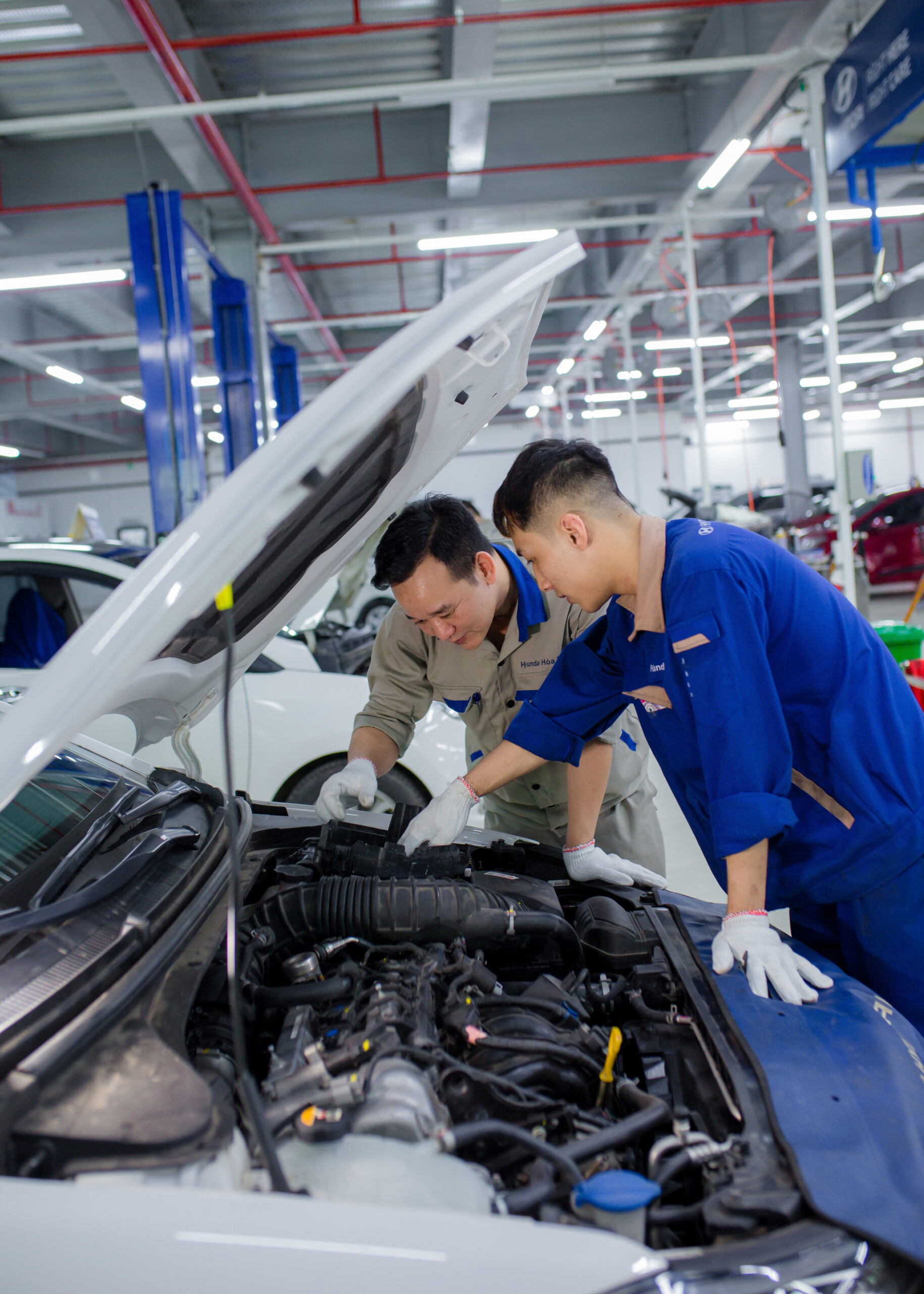 chuong trinh dich vu 279 3