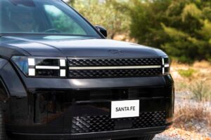 Hyundai SantaFe 3 Hyundai Santafe Black chitiet 5