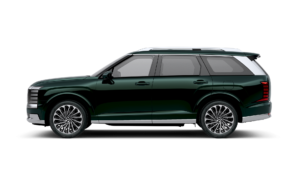 LX3 calli ext Robust Emerald Pearl 00