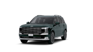 LX3 calli ext Robust Emerald Pearl 07