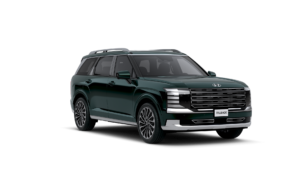LX3 calli ext Robust Emerald Pearl 12