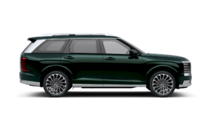 LX3 calli ext Robust Emerald Pearl 18