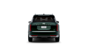 LX3 calli ext Robust Emerald Pearl 27
