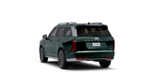 LX3 calli ext Robust Emerald Pearl 29